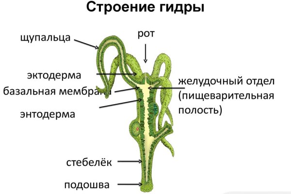 Ссылка на кракен тор kraken014 com