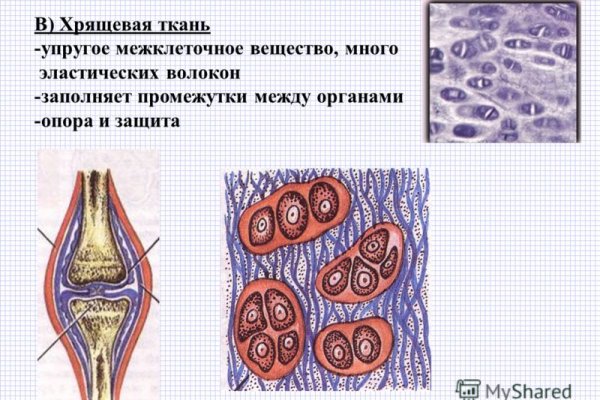 Кракен точка ат