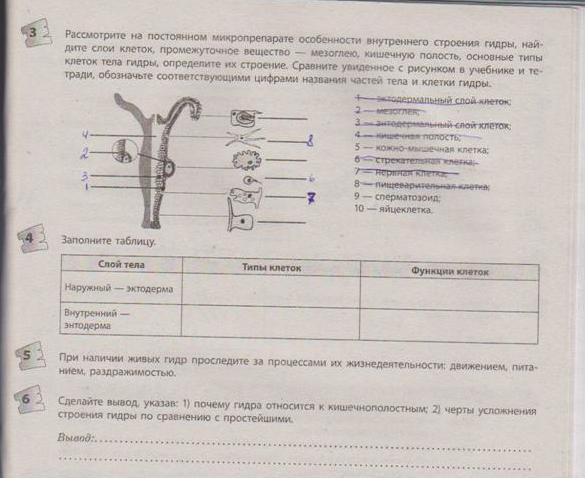 Кракен официальный сайт онион